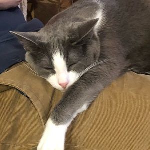 Meet your Posher, Lisa